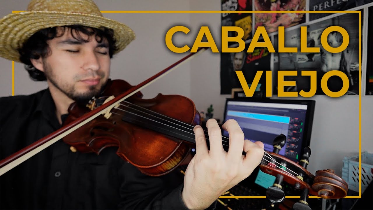 Caballo viejo | violín