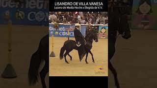 DON LISANDRO DE VILLA VANESA TROCHA COLOMBIANA #trocha #horse #shortsvideo