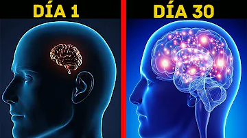 ¿Cómo puedo mejorar mi cerebro a diario?