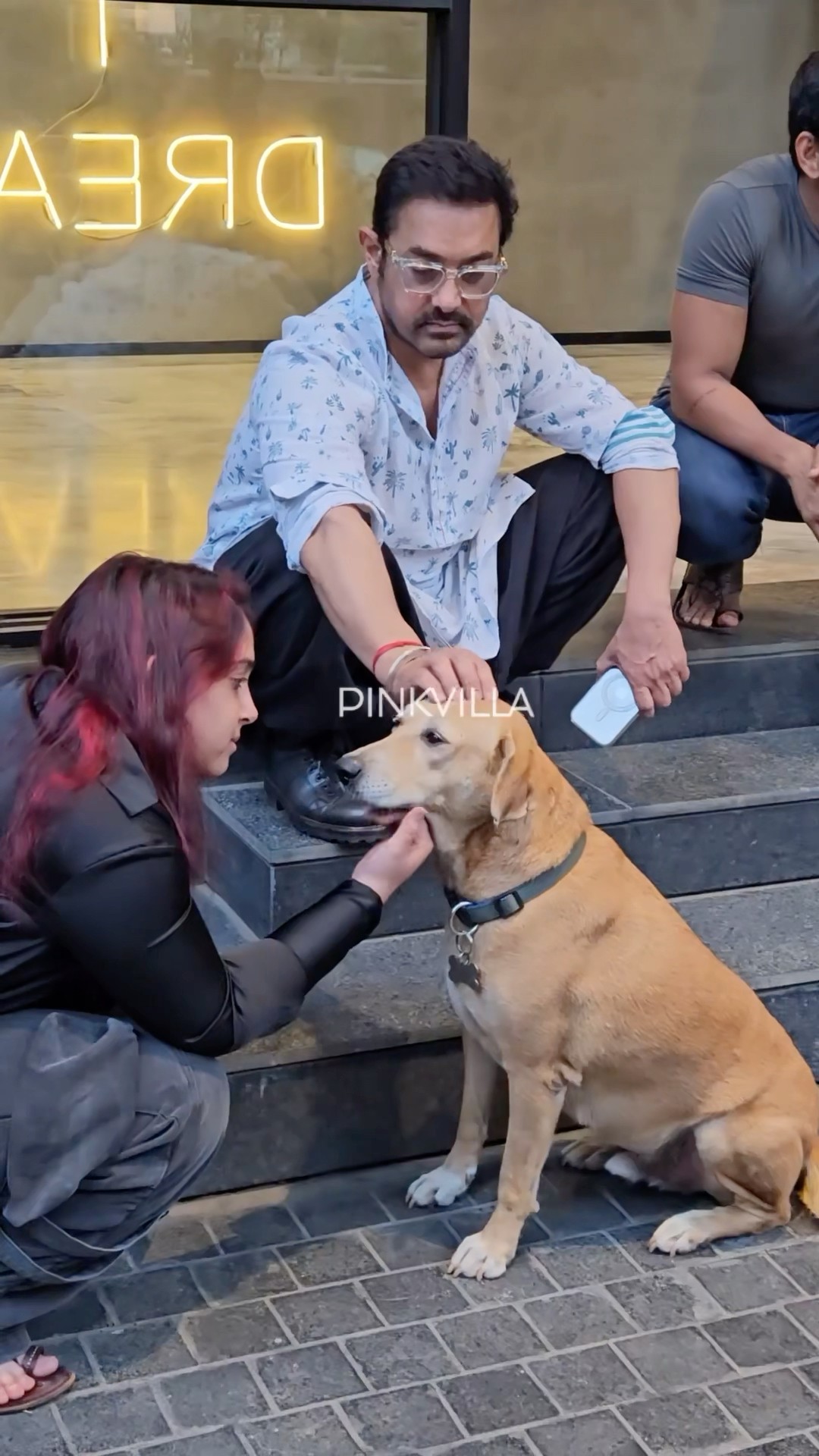 The way Aamir Khan \u0026 Ira Khan CARESS the dog ? | #shorts #bollywood #aamirkhan