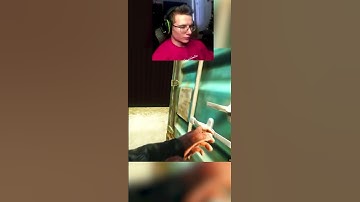 VOIP in Tarkov saves my life as a scav