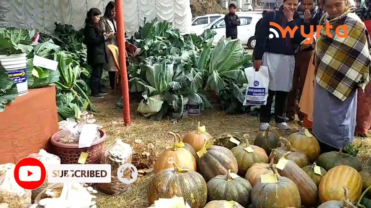 Wan dai wan pynyoo ki warep ya ki mar wa boon jait ha ka Exhibition wa pynman ha Jowai