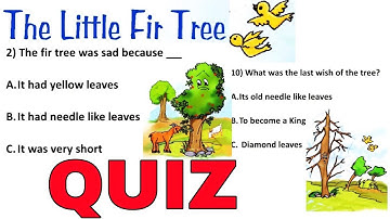 QUIZ (Test yourself) / The little fir tree/ NCERT / english Class4 / question answers /worksheet