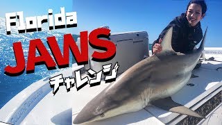激闘・・フロリダで発狂！人喰いサメと闘う!! 女の1人旅/ Big shark in Florida.