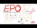 Erythropoietin (EPO)