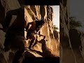 He Dropped a BOULDER on the Herd | 200 IQ Hun #animals #wildlife #earlyhuman #prehistorichumans