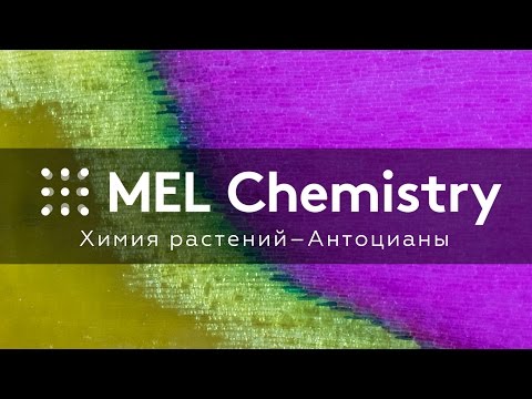 Видео: Содержат ли растения антоцианы?