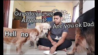 Eating Invisible Foods Prank | Invisible Food Prank | Dog Prank