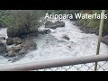 Arippara Waterfalls during Monsoon