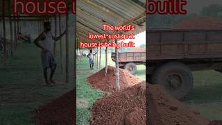 The World's Lowest-cost Goat House is Being Built🐑🏠|| #goat #gourigoatfactoryodisha #farming #shorts