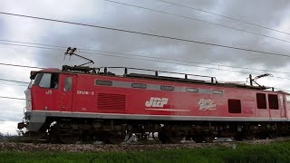 EF510-4牽引　高速貨物3097ﾚ　広島→新潟