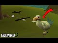 Do This For Your Chompy Bird KC Do This For Your Chompy Bird KC