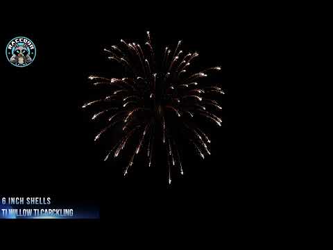 6″ video preview