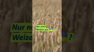 Weizen aus der Ukraine neu  #unserland  #shorts  #weizen  #ukranie