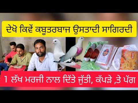 ਉਸਤਾਦੀ ਸਾਗਿਿਦੀ ਦੇ ਕਿਵੇਂ ਹੁੰਦੇ ਕਾਰ ਵਿਹਾਰ #barnala #kabootar #interview #kabootarlovers #video #ustad