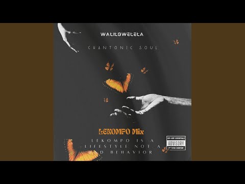 WaLiLoWeLeLa Lekompo mix9