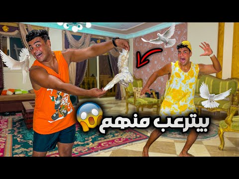 لما اخوك الصغير يكون بيخاف من الحمام وتجيبله حمامه في البيت سيف عماد