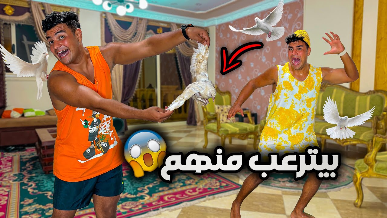 لما اخوك الصغير يكون بيخاف من الحمام وتجيبله حمامه في البيت😂🕊️ | سيف عماد