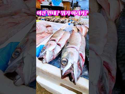 하나만 구워도 배부르겠는데? #고등어 #전통시장 #shorts