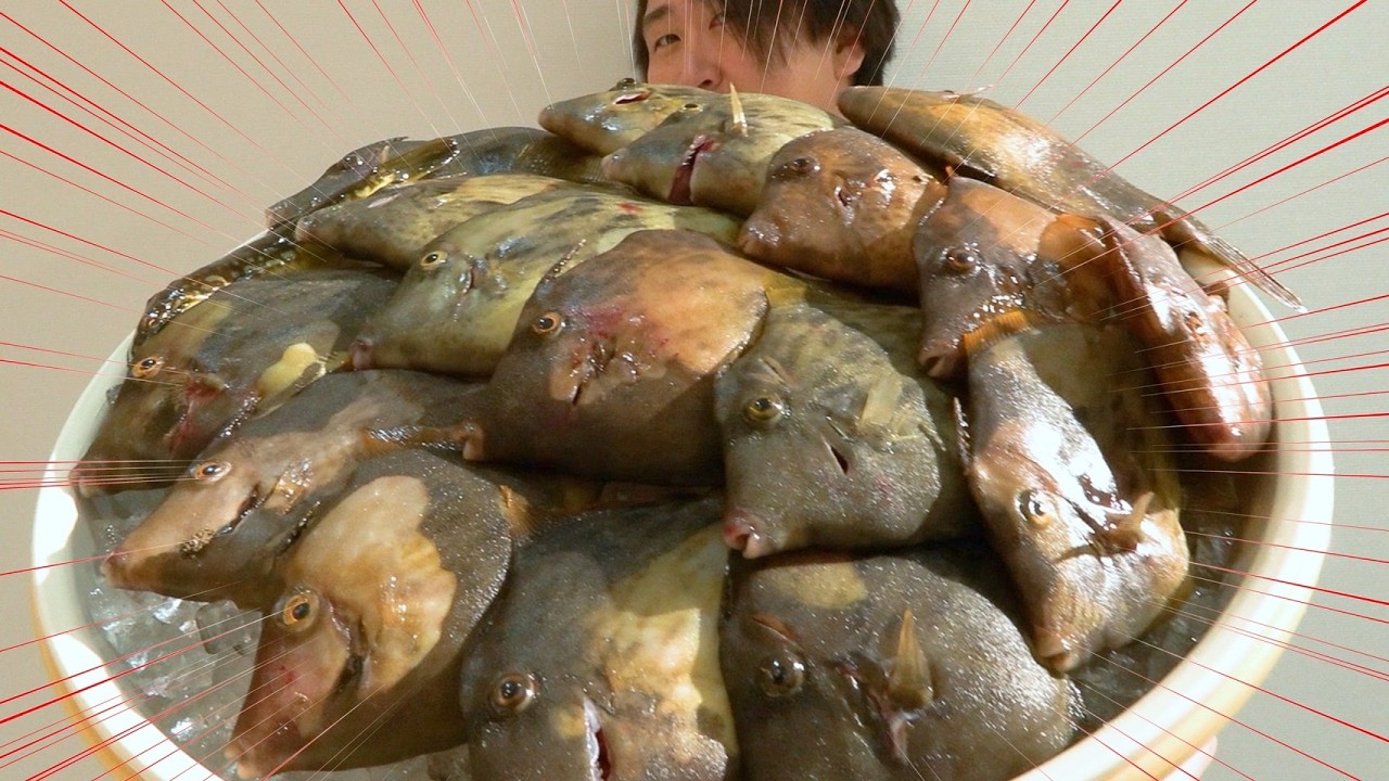 [Подводные съёмки] Поймал много крупных Кавахаги на лодке! Давайте приготовим их!