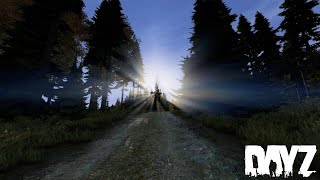 видео: DayZ/TwinklePlay/PVE/Путь картинка: DayZ/TwinklePlay/PVE/Путь