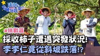 採收柿子遭遇危及突發狀況!李李仁竟從斜坡跌落!?【請問今晚住誰家】挑戰篇 20191031 PART2 EP52 李李仁 肯納 風田 Teddy