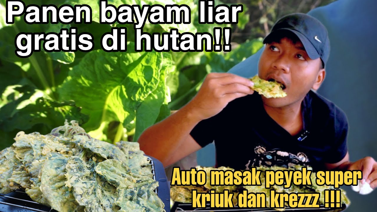 PANEN BAYAM LIAR DI HUTAN LANGSUNG DI MASAK PEYEK BAYAM SUPER KRIUKK!!! DAN SUPER KREZZ!!