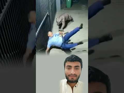 في هدوء الليل ظهر كائن غريب واقترب من الشرطي النائم قبل أن يتدارك الخطر ويستيقظ فجأة 