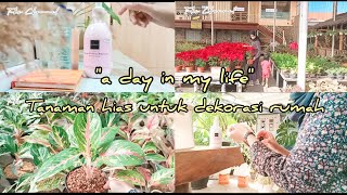 A DAY IN MY LIFE - RIBUAN TANAMAN HIAS VIRAL   #tanamanhias #berkebun  #scarlett screenshot 4