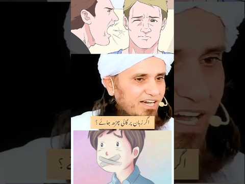 Gali Ghalia Muftitariqmasood Shorts 