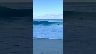 A Super Wedgey Wedge Full Session Playing On Our Channel. Clip By