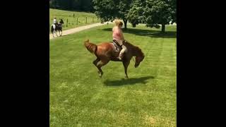 Horse gets crazy and start dwindling | throws off the rider | Horse riding # youtubeshorts