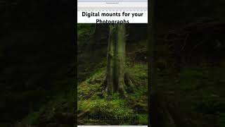 How to create digital mounts for your photography. #digitalphotography #photoshop #artist #art