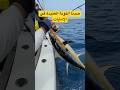 التونة العنيدة في الإمارات Explore صيد Fish صيدالسمك سمك بحر الصيد حوض Fishing 