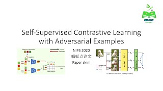 【蜻蜓点论文】Self-Supervised Contrastive Learning with Adversarial Examples