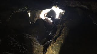 Citrus Caverns & Sinks ~Citrus D Loop Trail~