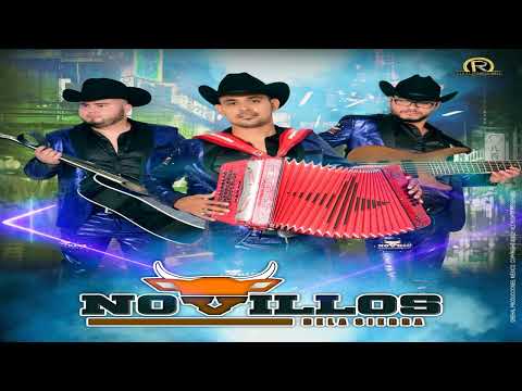 El Rey Pobre - Novillos de la Sierra (EN VIVO 2022)