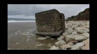 Brutus visits Praa sands.