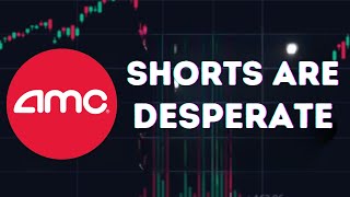 AMC STOCK UPDATE: AMC ARE DESPERATE TO COVER!