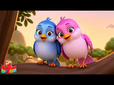 Little Birdie Is So Wise