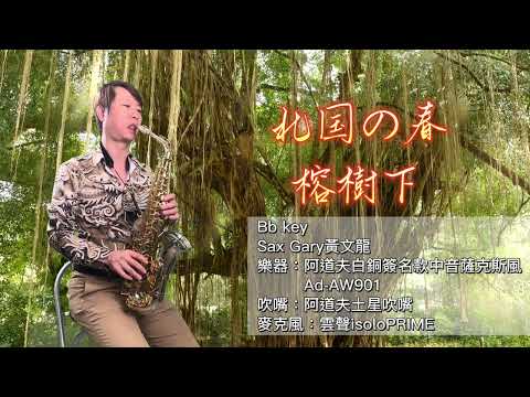 北國の春 bB (榕樹下)Gary黃文龍薩克斯風演奏教學