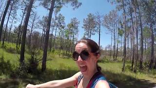 Suncoast trail in pasco county, florida ...