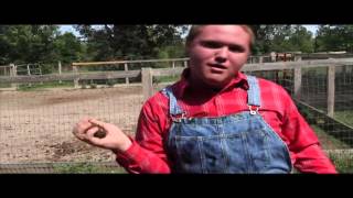 Barn Bash Promo Week 2