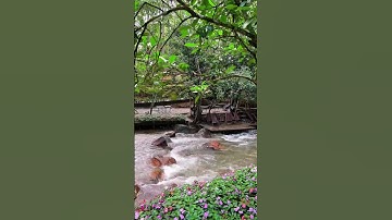 Quán cà phê Vườn địa Đàng tại Đà Lạt 🥰