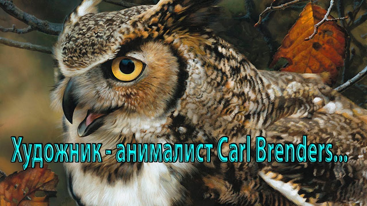 Художник -  анималист Carl Brenders...      Автор музыки Эдгар Туниянц