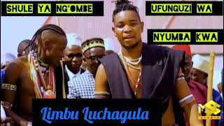 Shule ya ng'ombe ujumbe wa Limbu Luchagula Official audio Msambazaji Shule ya ng'ombe 🐄🐄 15 12 2024