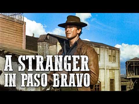 A Stranger in Paso Bravo