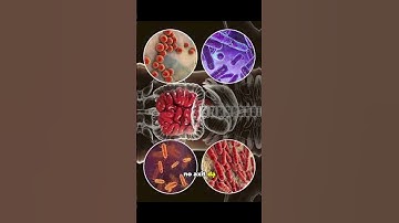 Vì sao MEN VI SINH uống mãi không hiệu quả?| Dược sĩ Trương Minh Đạt