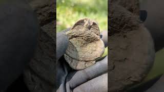 Railway Pin Treasure