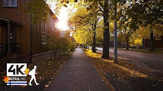Suburban Autumn Walk in Helsinki, Finland 🍁 Slow TV 4K